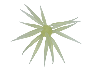 Buy 286-squash-lemon HIDEUP COIKE FISH M ELASTOMER