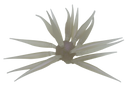 HIDEUP COIKE FISH M ELASTOMER-9
