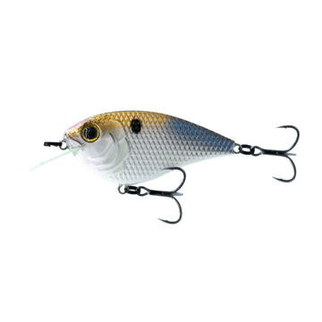 Buy 4k-shad 6TH SENSE FLAT FINESSE F4