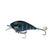 Black N Blue Craw