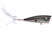 RC-516 | Tennessee Shad