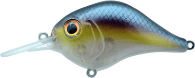 BILL LEWIS MID-RANGE MR-6 CRANKBAIT