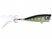 RC-524 | C.L. Shad