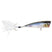 RR-574CS | Hammershad C.S.