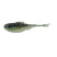 Threadfin Shad