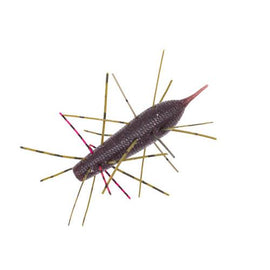 Buy 365-zari-bug GEECRACK IMO KEMUSHI 95