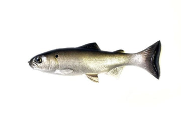 HUDDLESTON DELUXE 68 HOLLOW BODY SWIMBAITS - 0
