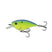 Blue-Treuse Shad