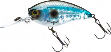 Buy prism-shad YO-ZURI 3DR-X CRANK MR (MID-RUNNER)