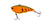 BURNT ORANGE CRAW