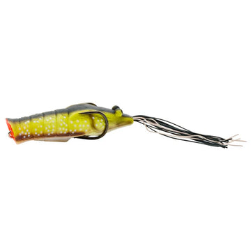 Buy pumpkin-star-shrimp NORIES EBIGAERU 76MM