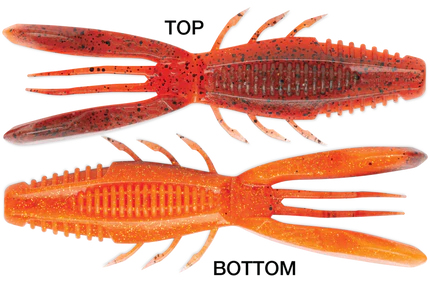 RAPALA CRUSH CITY BRONCO BUG