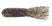 Smoke Black Purple Flk