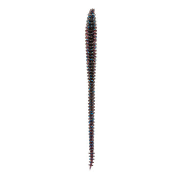 Buy blue-fleck-magic 6TH SENSE BOOSA 6.5 SHAKEY WORM