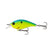 Blue-Trueuse Shad