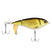 HD Golden Shiner