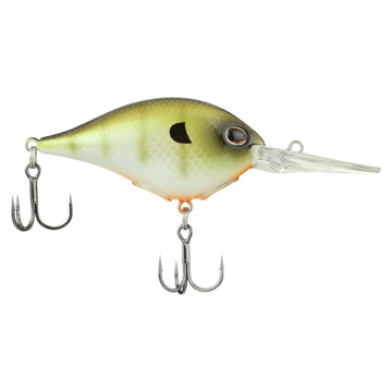 Buy killer-gill BERKLEY DIME 10 CRANKBAIT