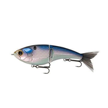 Buy blueback-herring 6TH SENSE JUDO FRESHWATER