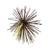Bluegill Brown
