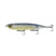 Ghost Bone Minnow
