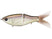 Threadfin Shad