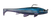 Cosmic Blue - 004