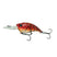 Crimson Craw