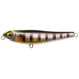 MEGABASS DOG-X JR COAYU (BFS) - 0