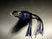 Purple Shad