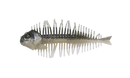 D-STYLE GEELACANTH-7