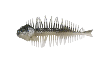 Buy dc051-gill D-STYLE GEELACANTH