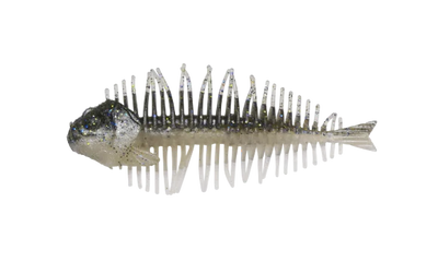 D-STYLE GEELACANTH