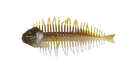 D-STYLE GEELACANTH-6