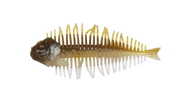 Buy dc060-green-pumpkin-fish D-STYLE GEELACANTH