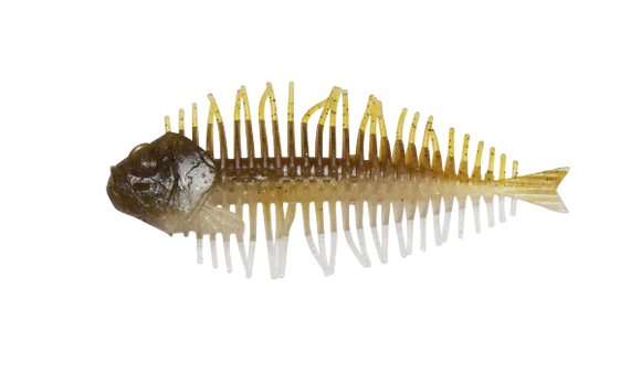 D-STYLE GEELACANTH