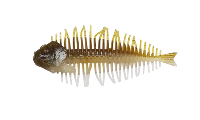 D-STYLE GEELACANTH