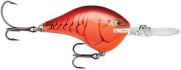 Buy demon RAPALA DT SERIES CRANKBAITS DT4-12