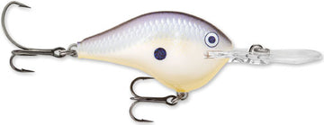 Buy disco-shad RAPALA DT SERIES CRANKBAITS DT4-12
