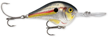 Buy shad RAPALA DT SERIES CRANKBAITS DT4-12