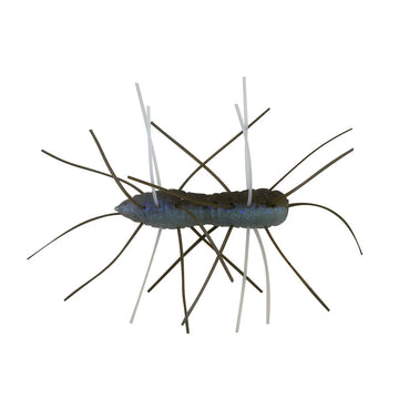 Buy the-deal Z-MAN FUZZY BUGZ