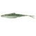 Threadfin Shad