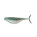 Threadfin Shad