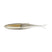 Gizzard Shad