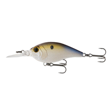 Buy golden-gizzard 6TH SENSE PRESSURE SERIES
