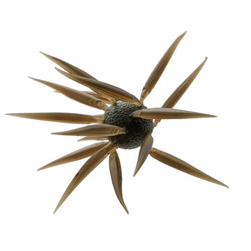 Buy 259-clear-brown HIDEUP COIKE FISH