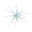 HIDEUP COIKE FULLCAST-5