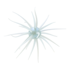 Buy 141-tamaranbai-blue HIDEUP COIKE FULLCAST