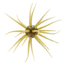 HIDEUP COIKE FULLCAST-1