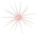 HIDEUP COIKE FULLCAST-6