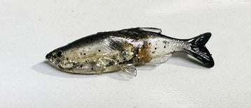 HUDDLESTON WEEDLESS GRASS MINNOWS